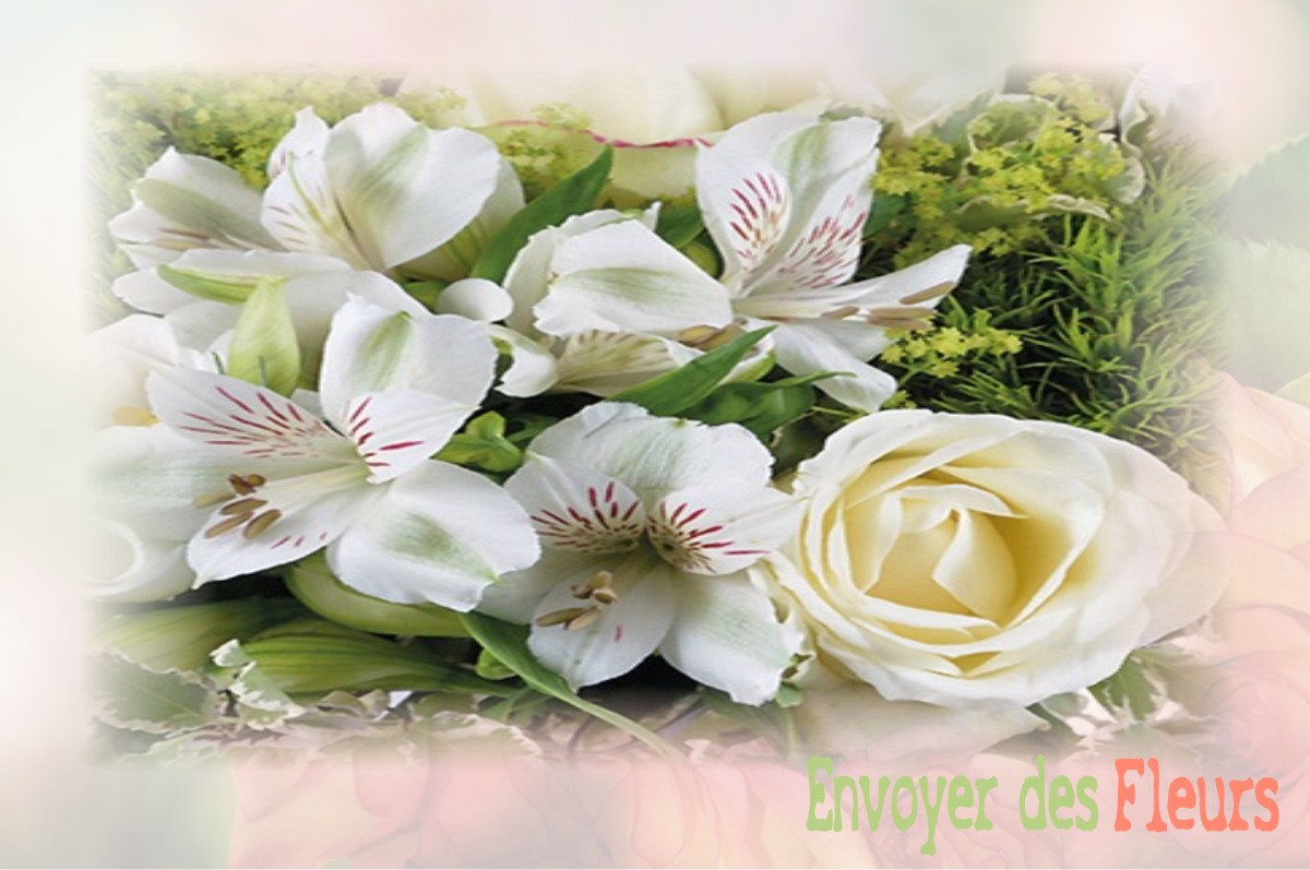 envoyer des fleurs à à AULNOYE-AYMERIES